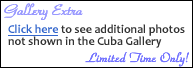 Gallery Extra - Limited Time Only