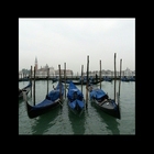 Photographs from near and far will spice up your life.