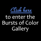 The Bursts of Color Gallery