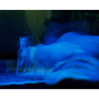 Reverie