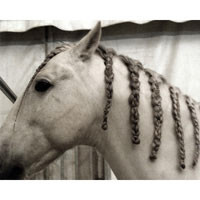 Braids