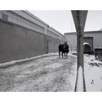 Winter Corral I